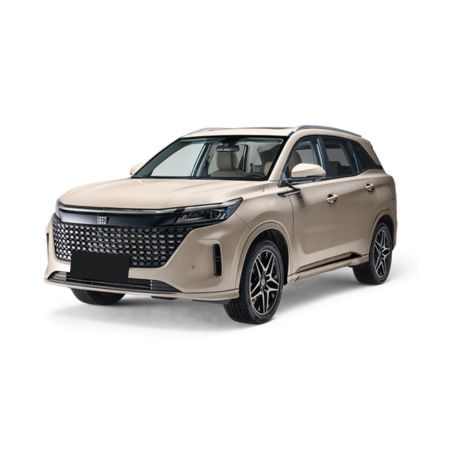 Alfombrillas de coche Dongfeng E5