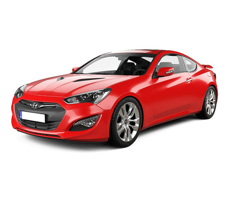 Protección de umbral de puerta de acero inoxidable Hyundai Genesis