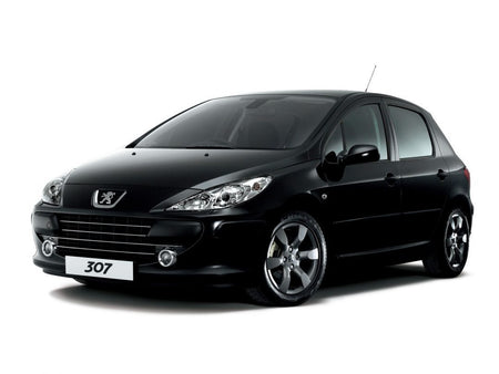 Protección de umbral de puerta de acero inoxidable Peugeot 307