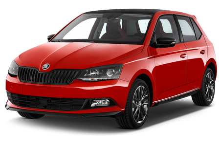 Soporte de protección acero inoxidable para reposapiés de coche Skoda Fabia
