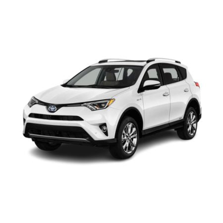Alfombrillas tipo bandeja Toyota RAV4 IV Hybrid fabricación 2015 - 12.2018, carrocería suv
