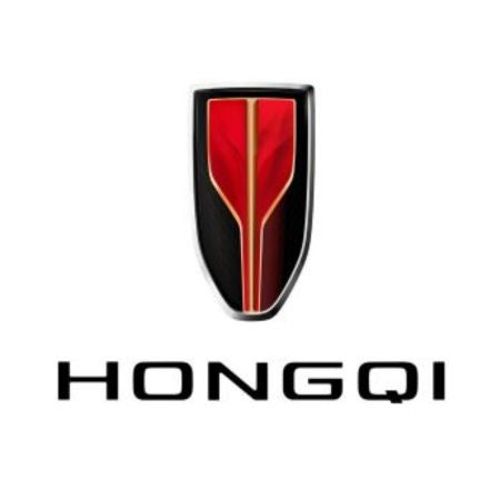 Alfombrillas tipo bandeja Hongqi