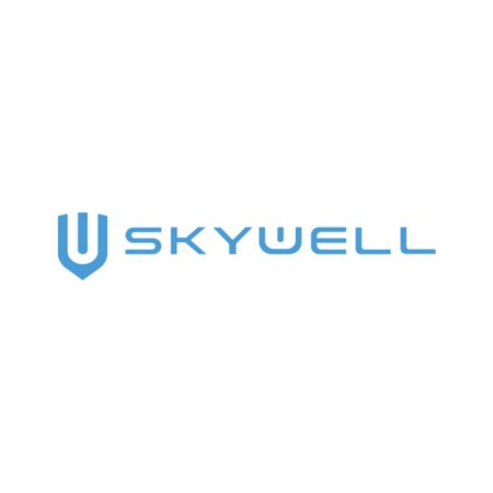 Alfombrillas de coche Skywell