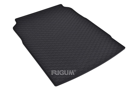 Bandeja maletero BMW Serie 5 F10, carrocería sedán, fabricación 03.2010 - 2013 #1