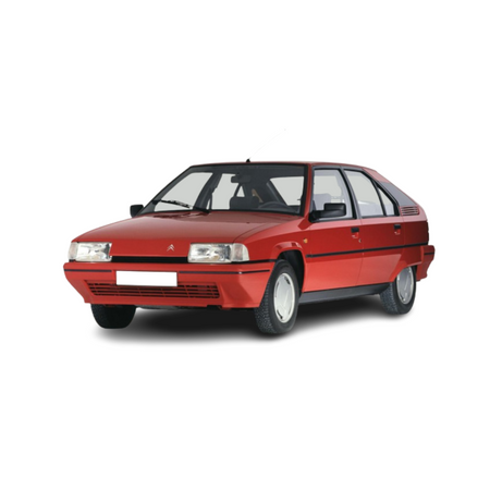Deflectores de aire Citroen BX