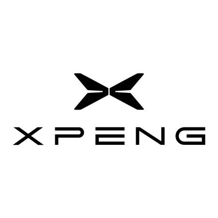 Alfombrillas tipo bandeja Xpeng