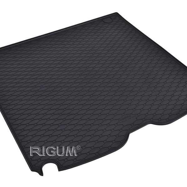 Bandeja maletero BMW Serie 5 E61, carrocería camioneta, fabricación 06.2004 - 2010 #1