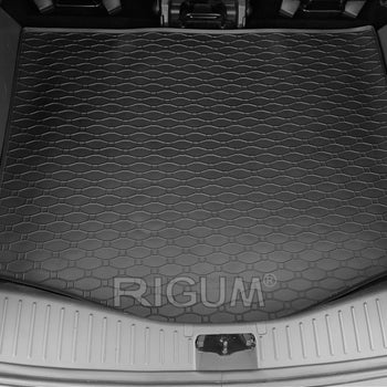 Bandeja maletero Ford C-Max I, carrocería furgoneta, fabricación 2003 - 10.2010 #1