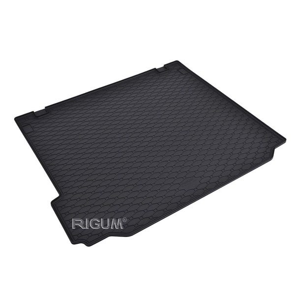 Bandeja maletero BMW X5 E70, carrocería suv, fabricación 04.2007 - 09.2013 #1 - 1